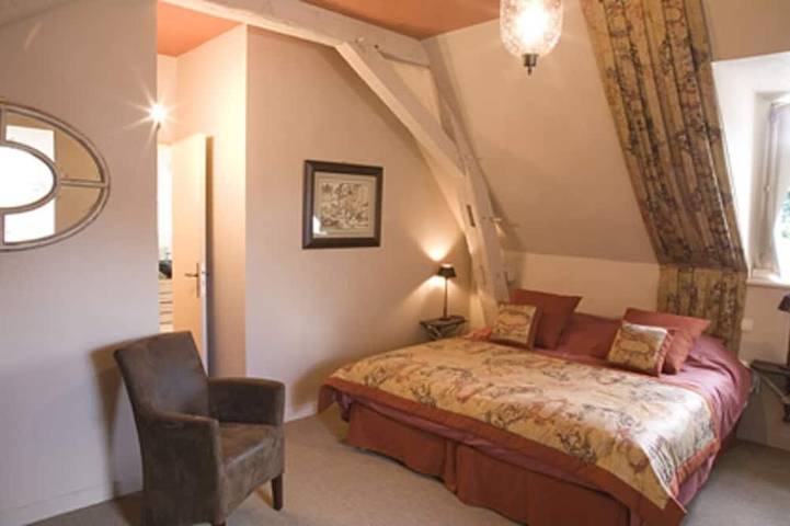 Location de vacances pour 11 personnes, avec jacuzzi et jardin à Roézé-sur-Sarthe - 4