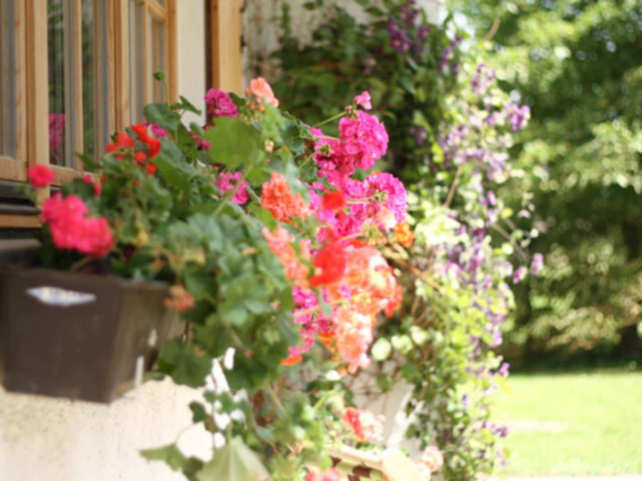 Kleinrachlhof | Chiemgau Karte - Fewo Flieder 50 qm, 1-2 Pers.,Wohn-Schlafr.getr.,Kochnische,eigene Sonnenterrasse in Grassau, Chiemsee