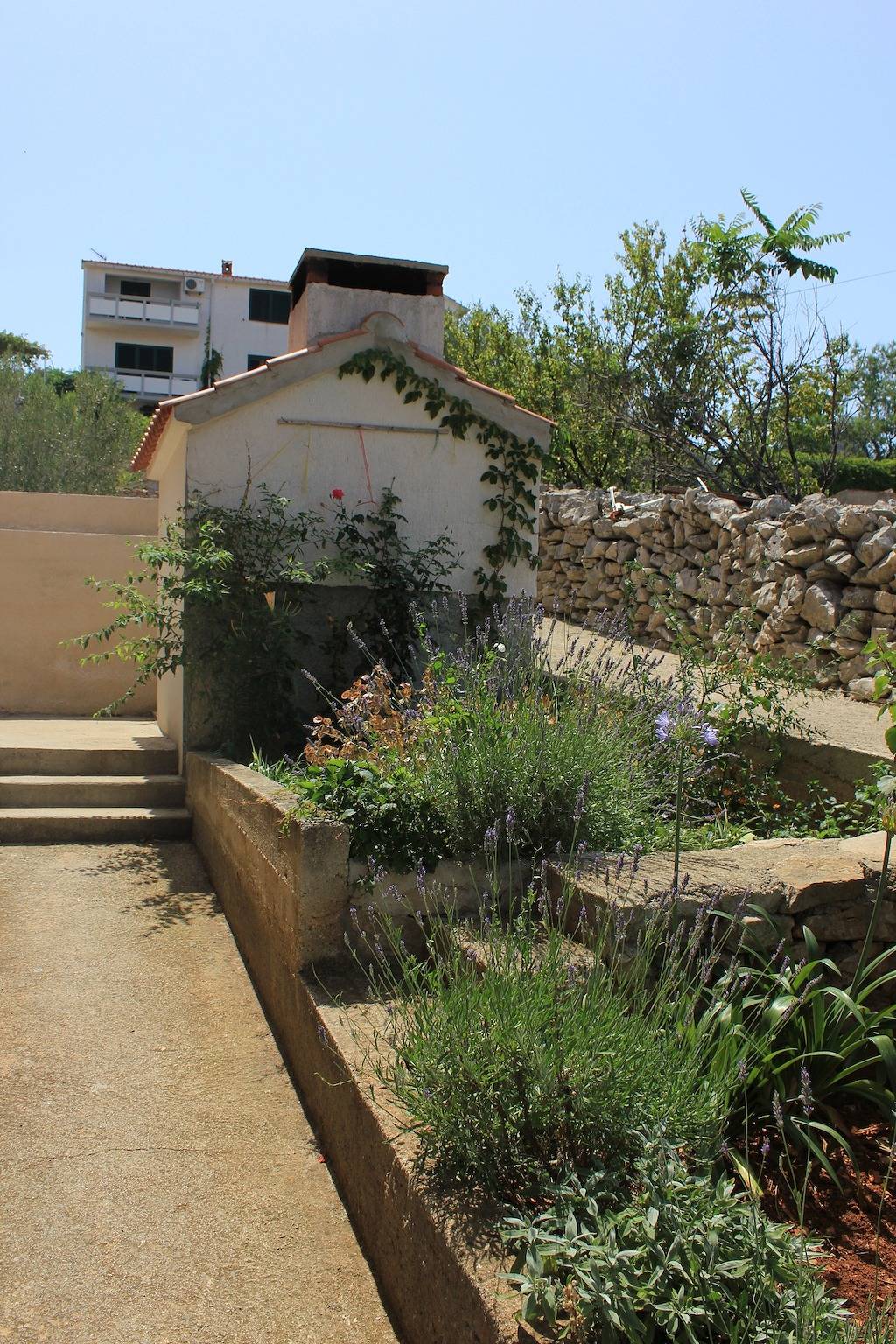 Appartement entier, Garçonniere avec le balcon Sali, Dugi otok As-8121-b in Sali, Dugi Otok