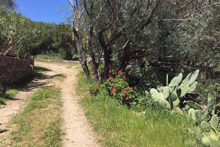 Gîte pour 4 personnes dans Plage Cala Rossa - 4