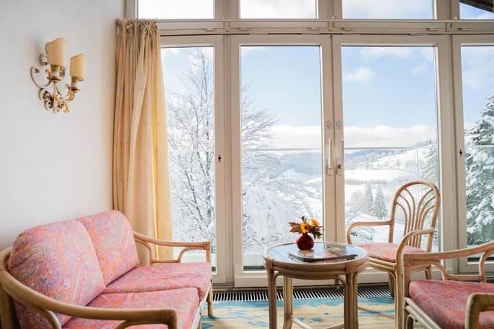 Hôtel, avec Balcon et Vue