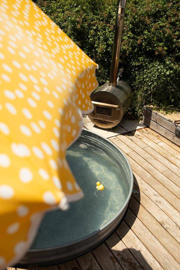 Location de vacances pour 2 personnes, avec piscine ainsi que jardin et vue à Channay-sur-Lathan - 3