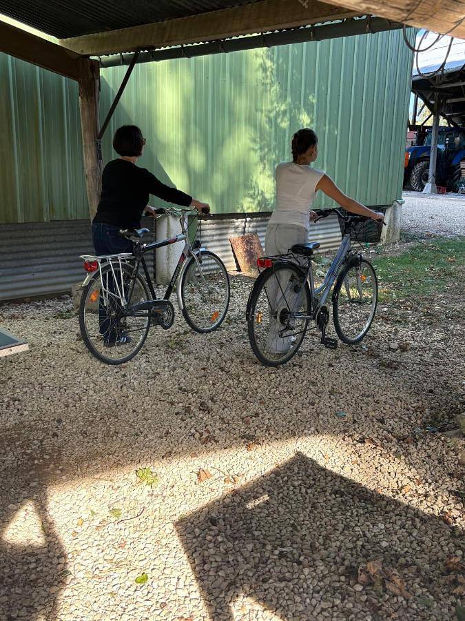 Gîte pour 2 personnes, avec terrasse ainsi que vue et jardin dans Vexin-sur-Epte - 4