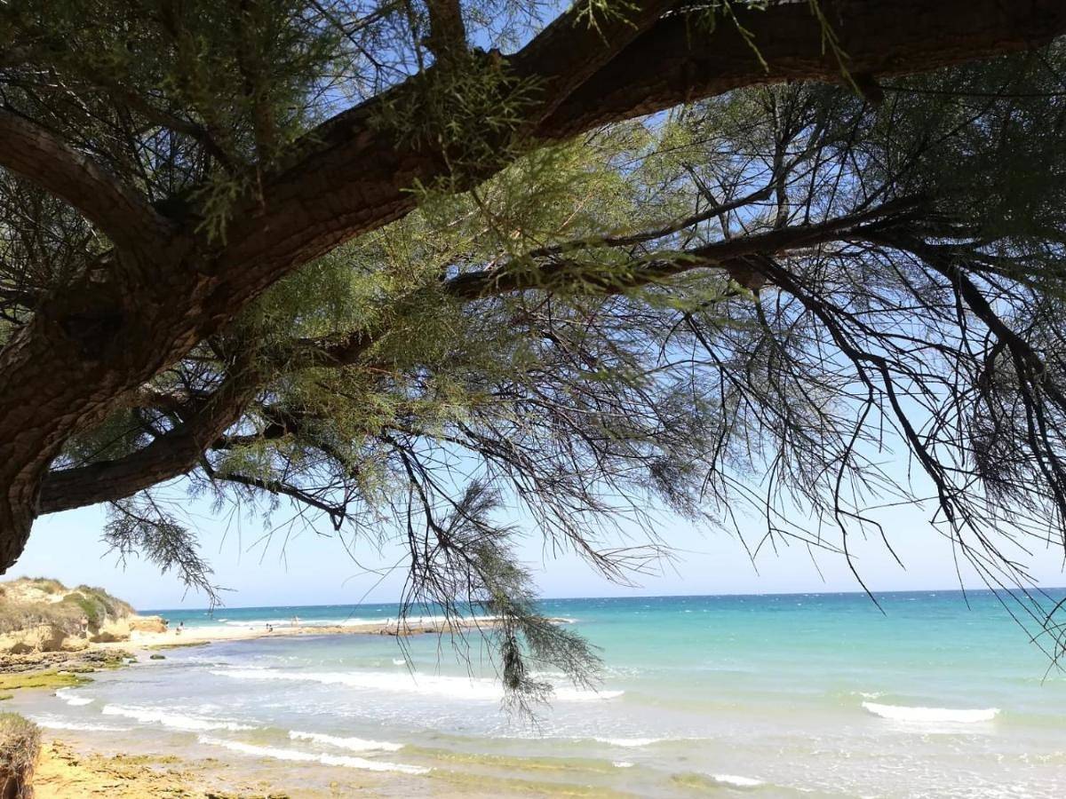Appartamento intero, Tra Vento e Mare in Torchiarolo, Salento