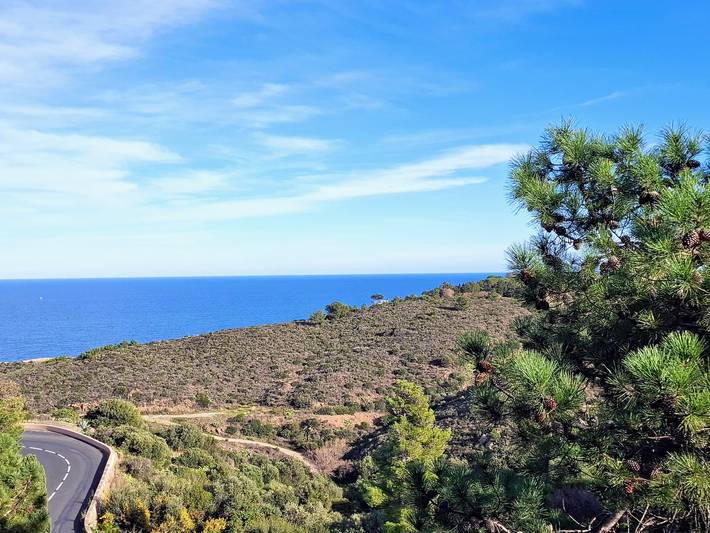 Gîte pour 4 personnes, avec Terrasse à Banyuls-sur-Mer - 2