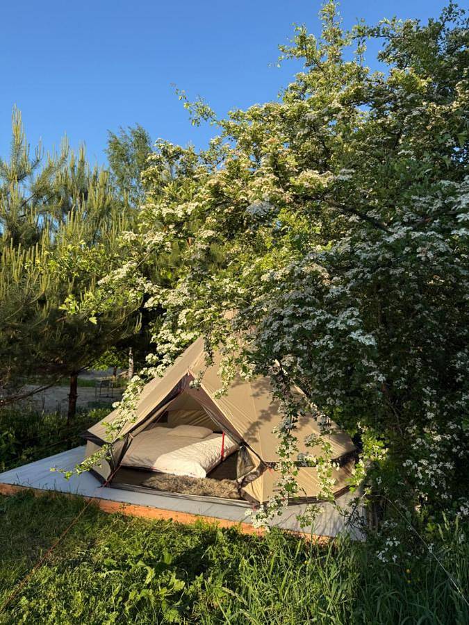 Kemping dla 2 osób, z Jacuzzi i Ogród oraz Sauna w Litwa
