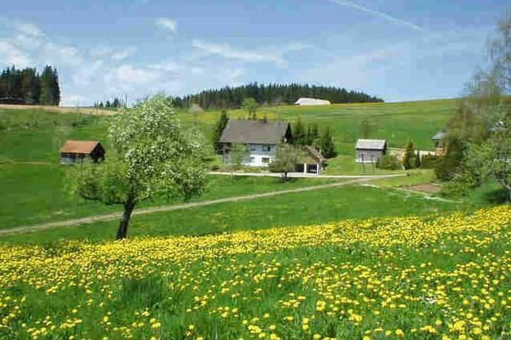 Ganze Wohnung, Appartement mit Garten in Schwärzenbach in Schwärzenbach (Titisee-Neustadt), Titisee-Neustadt