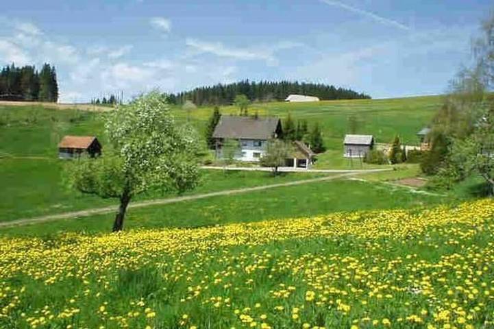 Bauernhof für 4 Personen, mit Garten, mit Haustier in Titisee-Neustadt