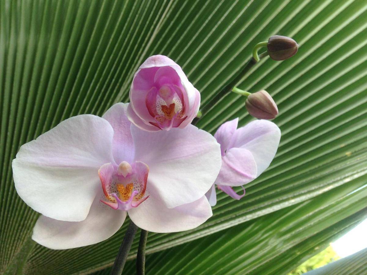 Chambre d'hôte Coeur-Coco piscine in Saint-François, Guadeloupe