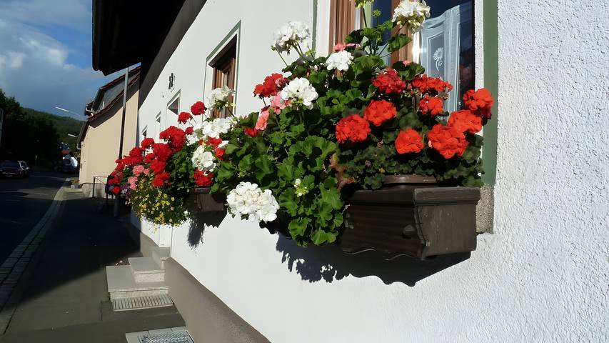 Ferienwohnung für 2 Personen, mit Balkon an der Rhön - 2
