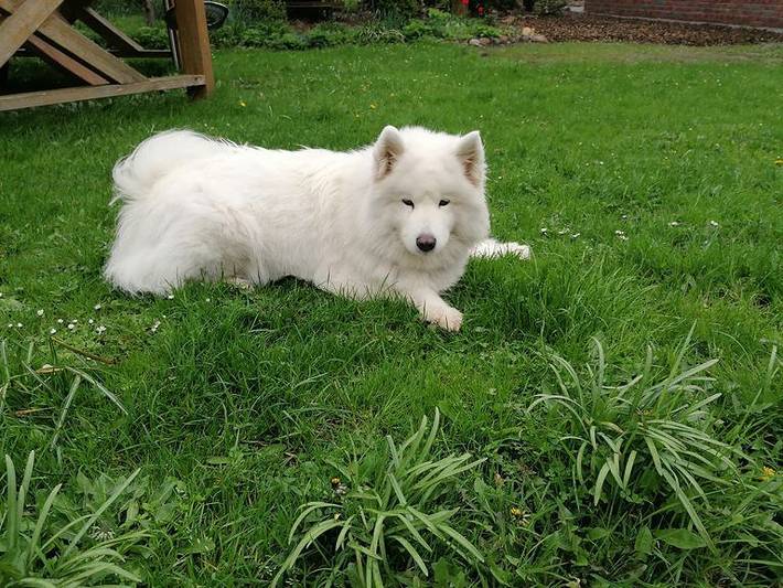 Ferienhaus für 2 Personen, mit Balkon und Garten, kinderfreundlich in Elbe-Weser - 2