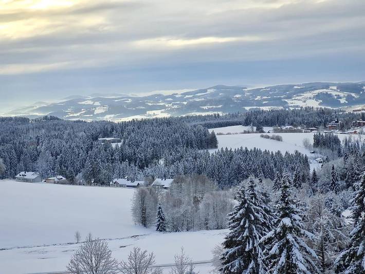 Ferienwohnung für 5 Personen, mit Sauna und Pool sowie Garten und Ausblick in Neureichenau - 4