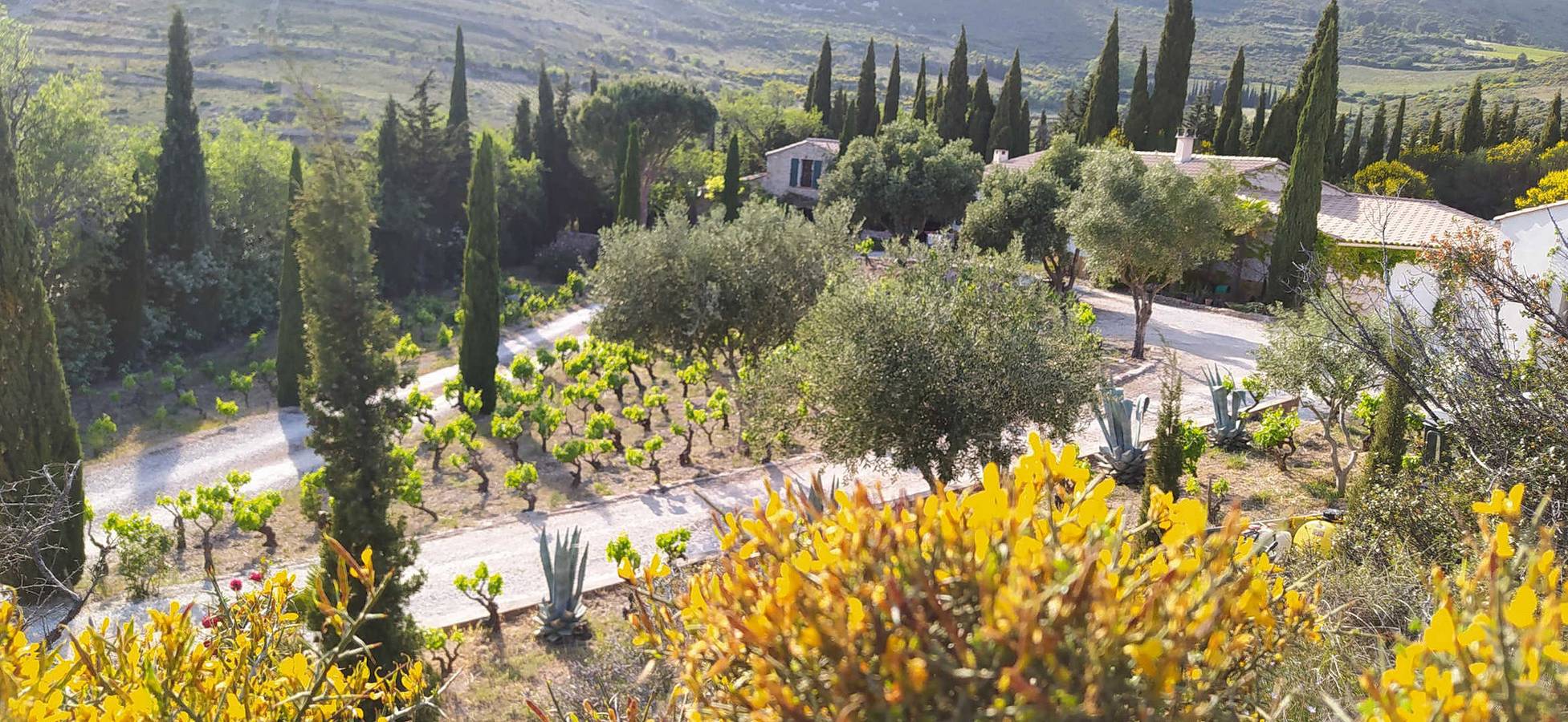 Gîte au Milieu des Vignes in Tuchan, Regionaler Naturpark Corbières-Fenouillèdes