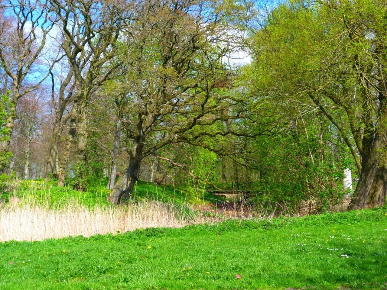 Ganze Wohnung, 5 Personen Ferienhaus in Højer in Højer, Tondern und Umgebung