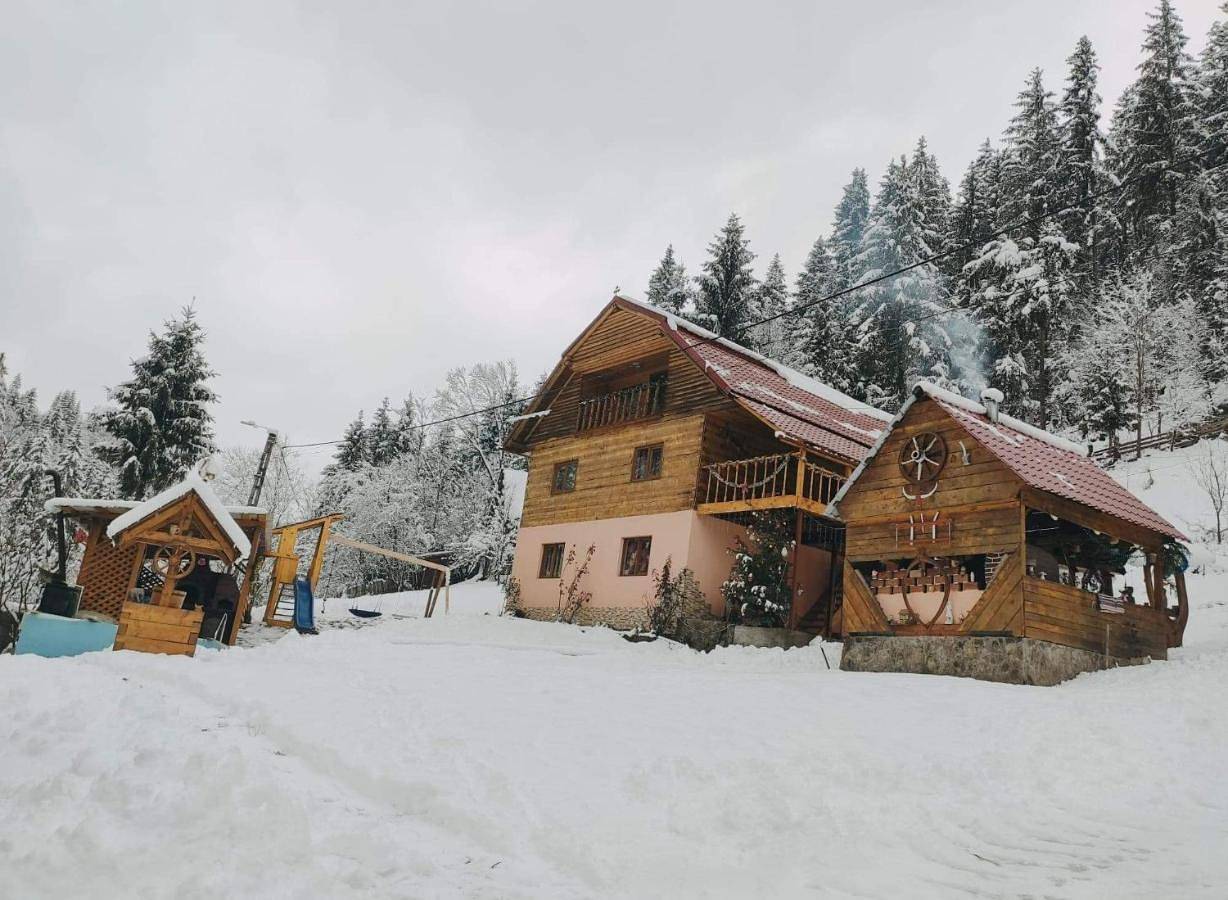 Villa in Alba (Romania)