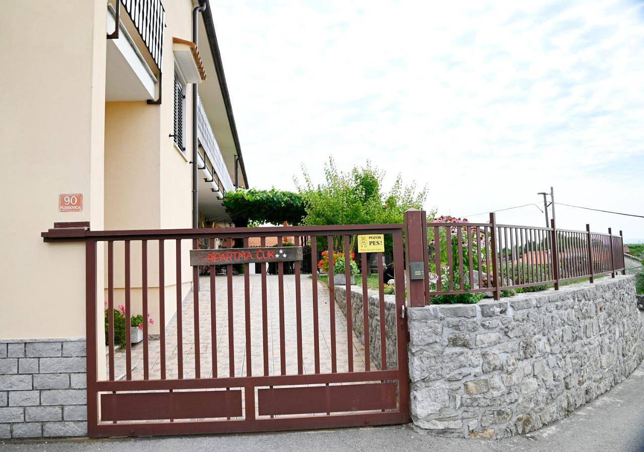 Ganze Wohnung, Apartma Čuk in Zizan, Slowenien