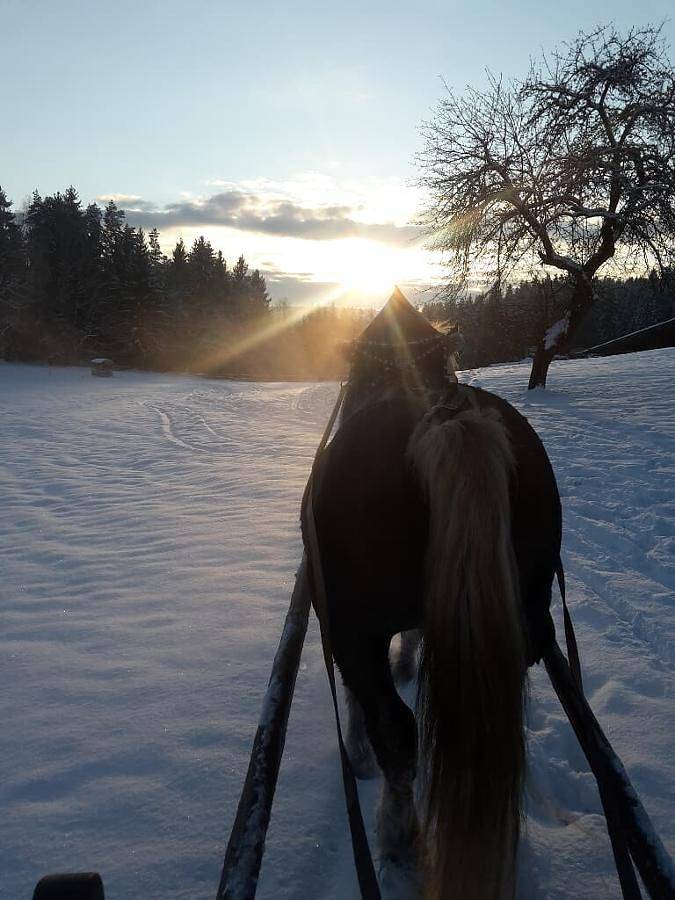 Ferienhof Schmalzgrub - Ferienwohnung Wiesenblick in Böbrach, Ostbayern