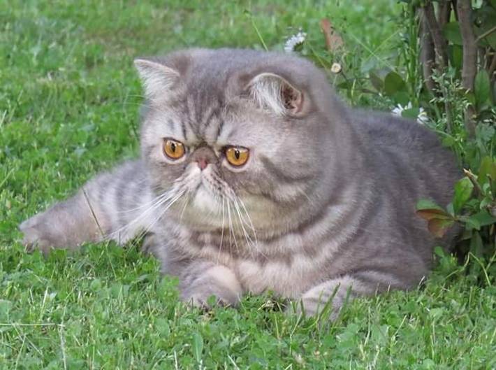 Chambre d’hôte pour 5 personnes, avec vue ainsi que jardin et terrasse dans le Cantal - 4