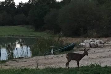 Gîte pour 4 personnes, avec terrasse et jardin à Jouy-le-Potier