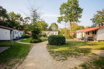 Vakantiepark voor 5 Personen in Bergen (Limburg), Nationaal Park De Maasduinen, Afbeelding 4