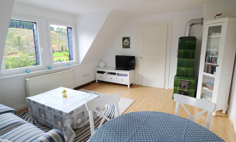 Ferienwohnung für 5 Personen, mit Haustier in Feldberg - 2