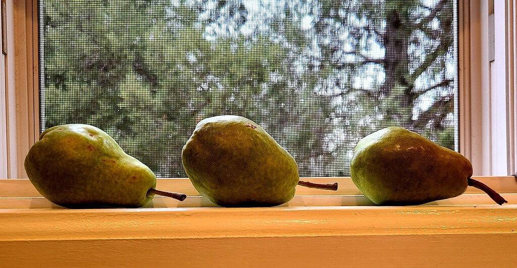 Wo viktorianisches Häuschen-Bauernhaus trifft in Salida, Chaffee County