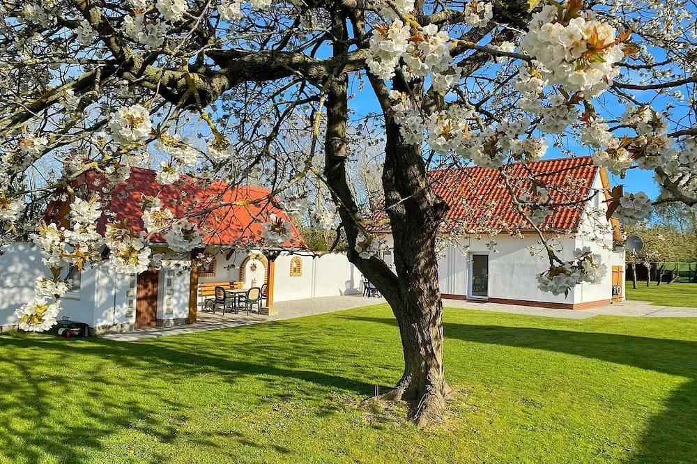 Ferienhaus in Rügen für 4 Personen in Rügen