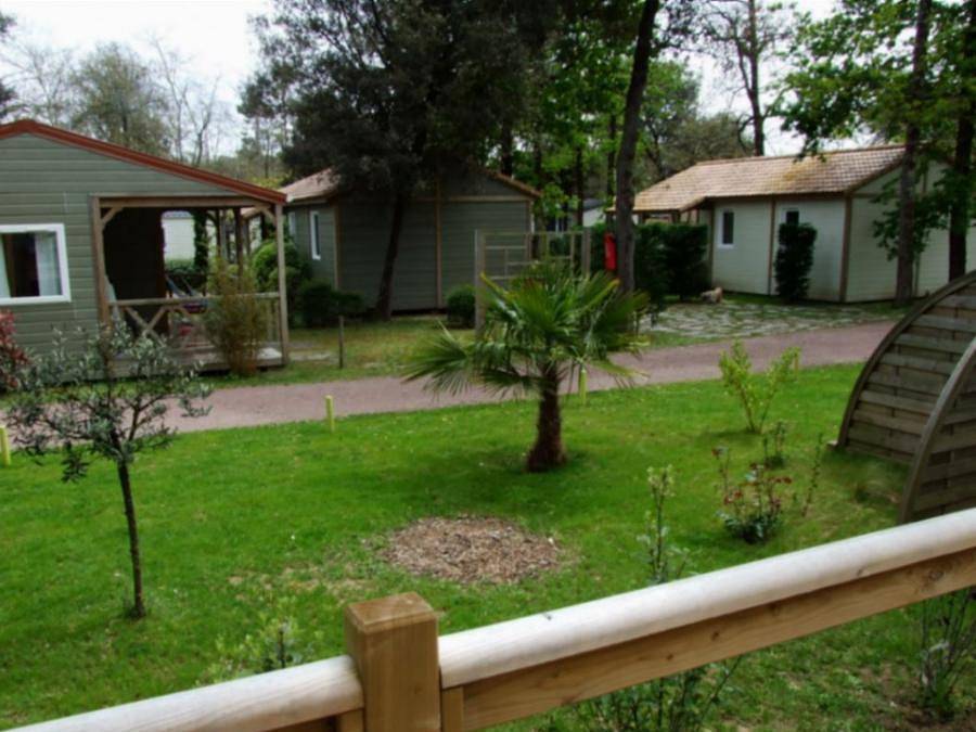 Camping Le Sous Bois - Chalet 4 personnes - Chalet Cannelle 2Ch 4Pers in La Cotinière, Saint-Pierre-d'Oléron