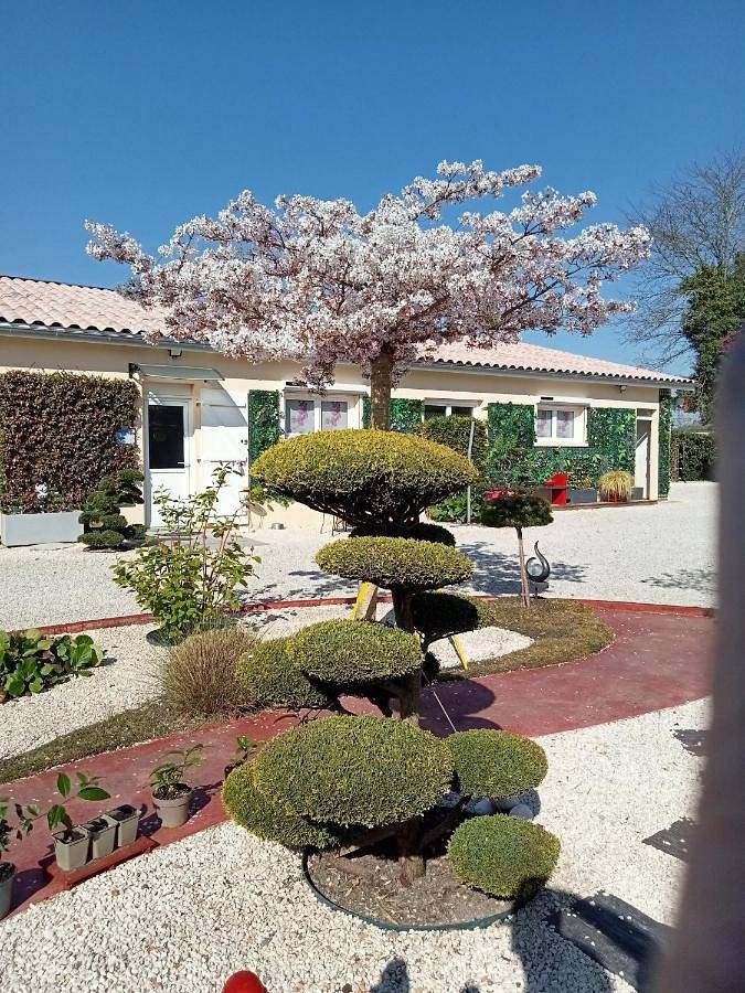 Gîte pour 4 personnes, avec jardin et vue à Saint-Médard-de-Guizières - 2