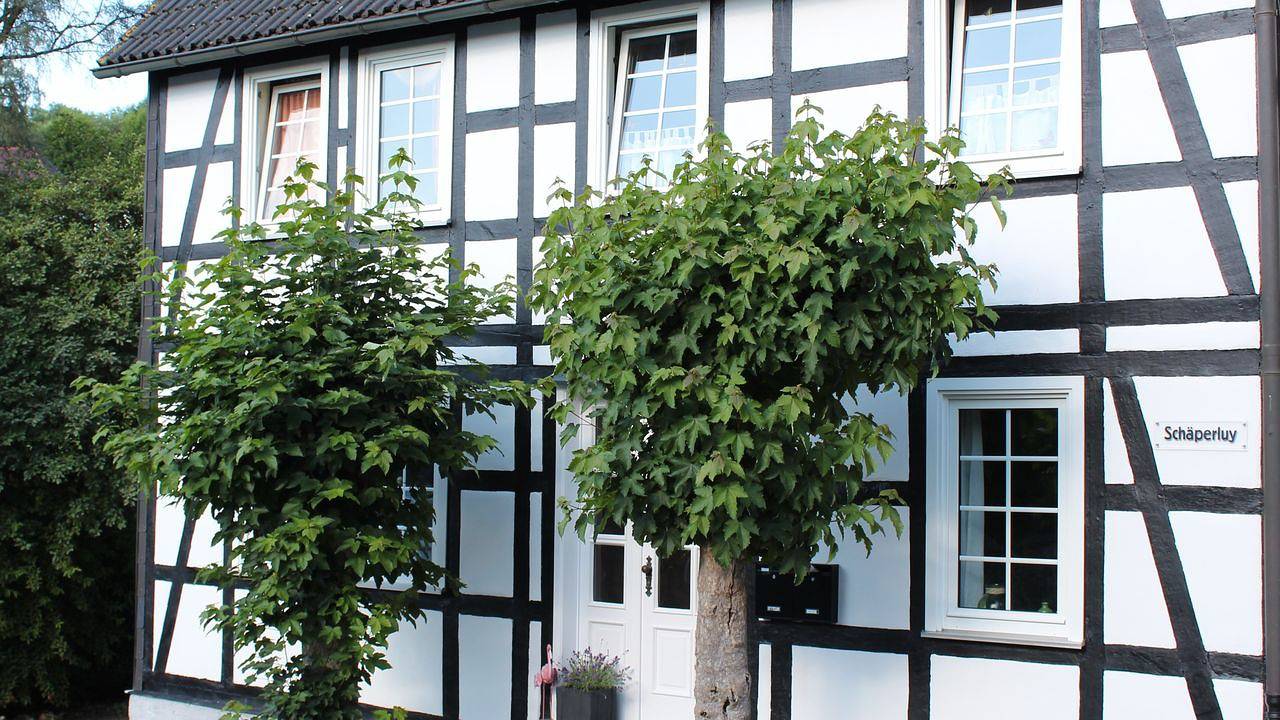 Ganze Ferienwohnung, Ferienwohnung für 4 Personen (65 m²) in Olsberg in Assinghausen, Olsberg