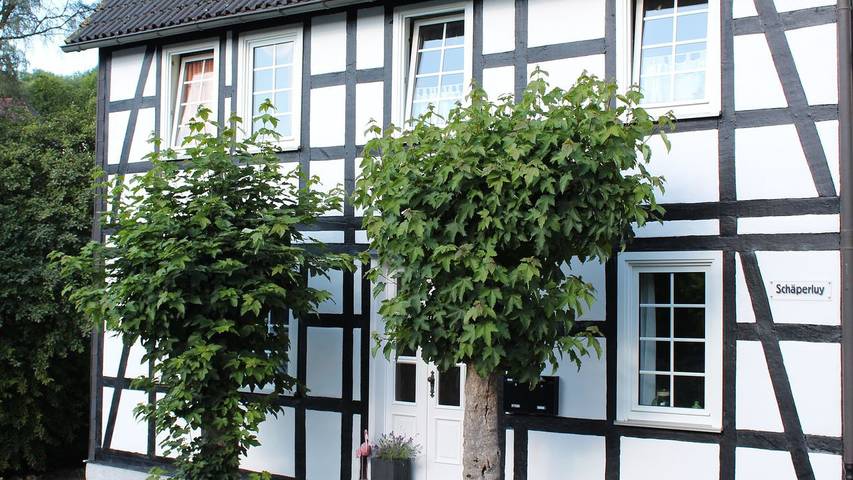 Ferienwohnung für 4 Personen, mit Garten - 1