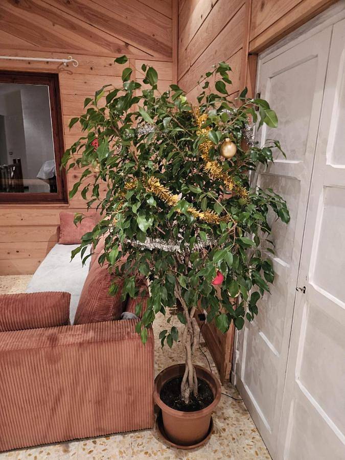 Appartement entier, Les 3 vallées 2 in Séranon, Région de Cannes