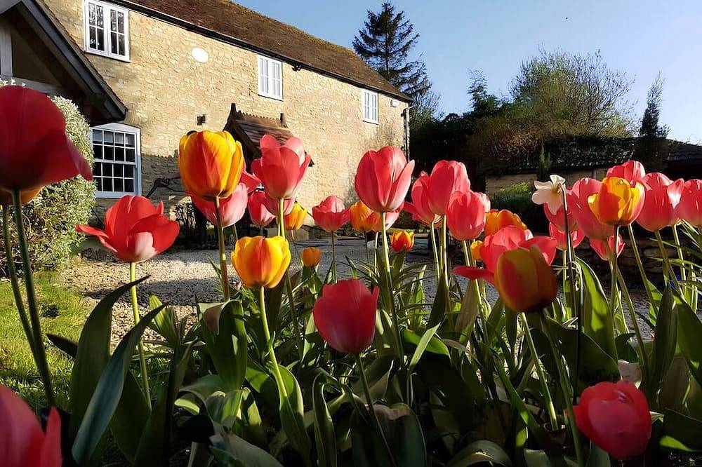 Beautiful en-suite double rm in a small country home c/w spa, supper & breakfast in Somerset