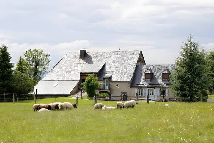 Holiday home for 14 people, with garden - 1
