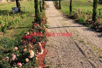 Gîte pour 3 personnes, avec terrasse et jardin à Saint-Philippe-d'Aiguille