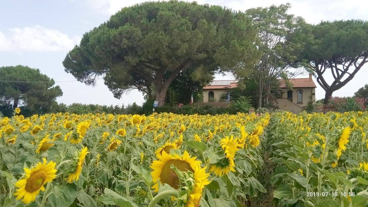 Casa del Sole in Campiglia Marittima, Etruskische kust