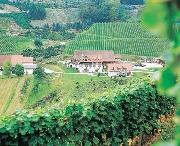 Ferienwohnung für 3 Personen in Mittlerer Schwarzwald - 2