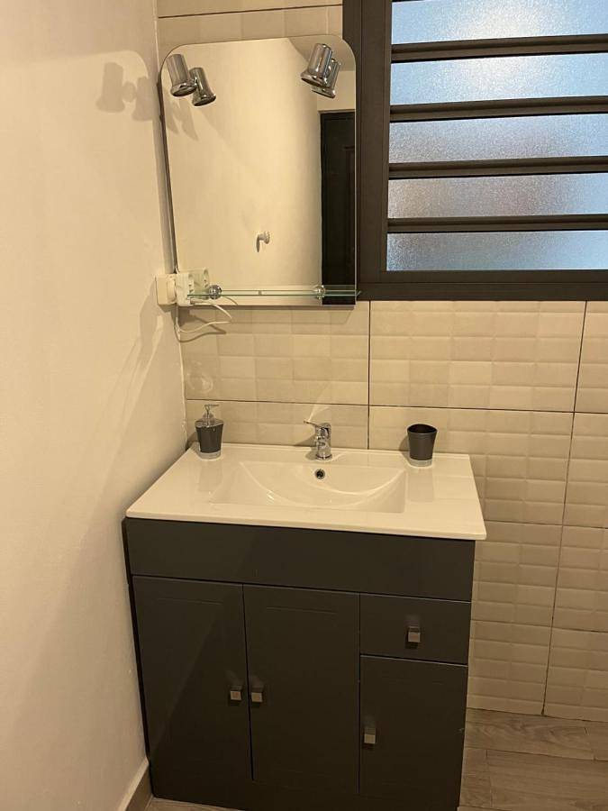 Gîte pour 2 personnes, avec terrasse et vue dans Palmiste Rouge - 4