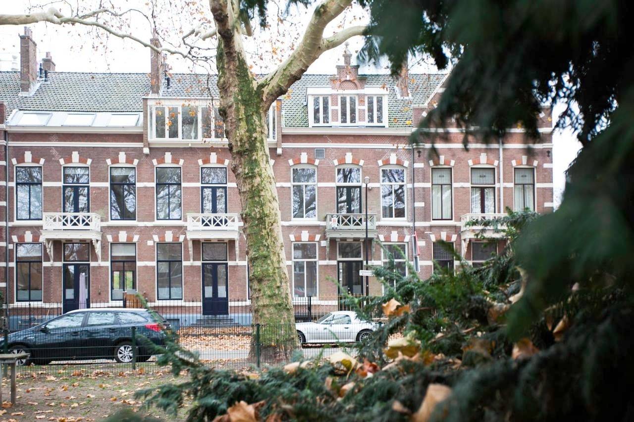 Oranjepark in Dordrecht, Parc national De Biesbosch
