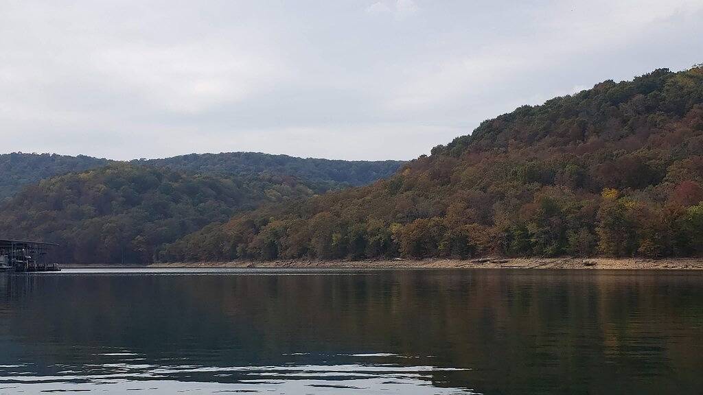 Tiny Cabin-Lakefront Perfect Escape for 1 or 2 Guests; King Size Bed in Loft. in Beaver Lake