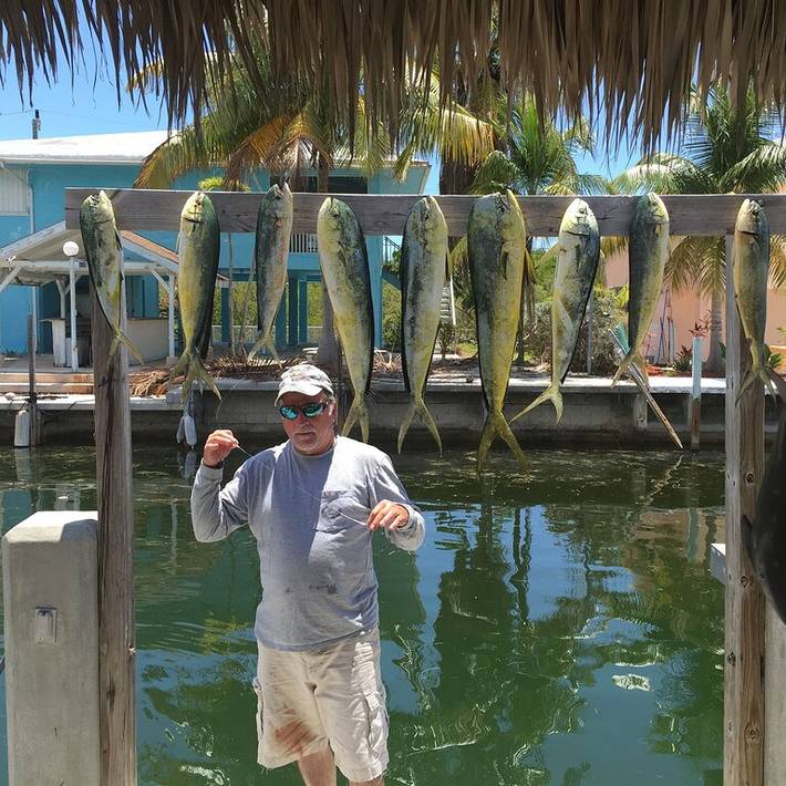 Holiday rental for 8 people, with terrace and garden in Florida