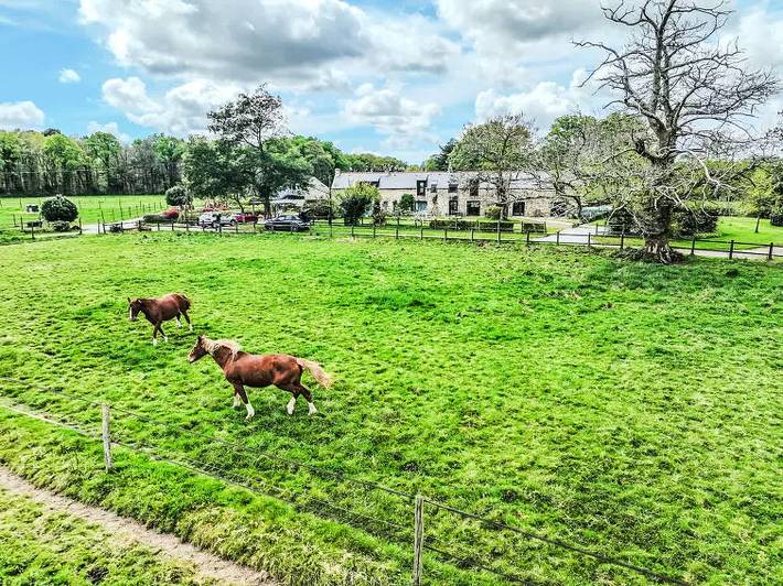 Location de vacances pour 7 personnes, avec jardin à Ploeren - 4