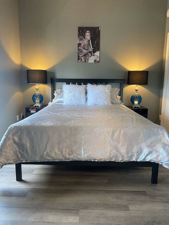 Ganze Wohnung, Modern condo with jacuzzi in the heart of downtown. in Wabasha, Wabasha County