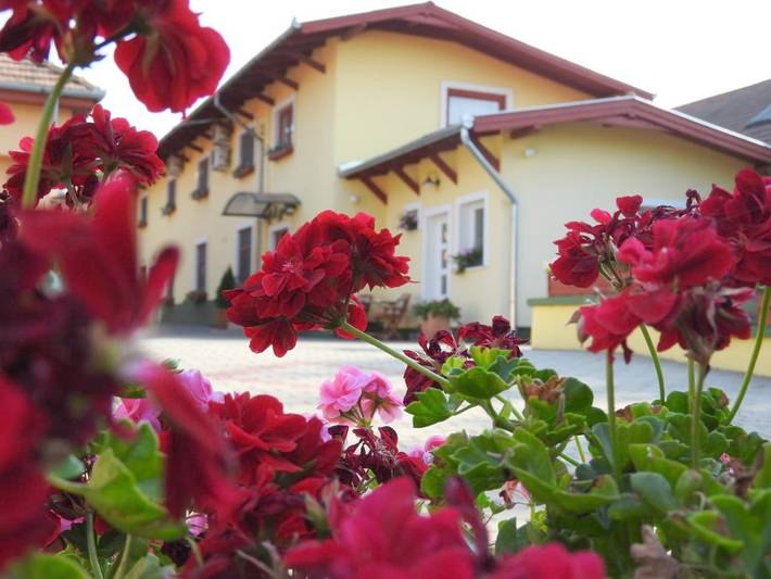 Maison d’hôte pour 2 personnes, avec Terrasse et Jardin à Vecsés