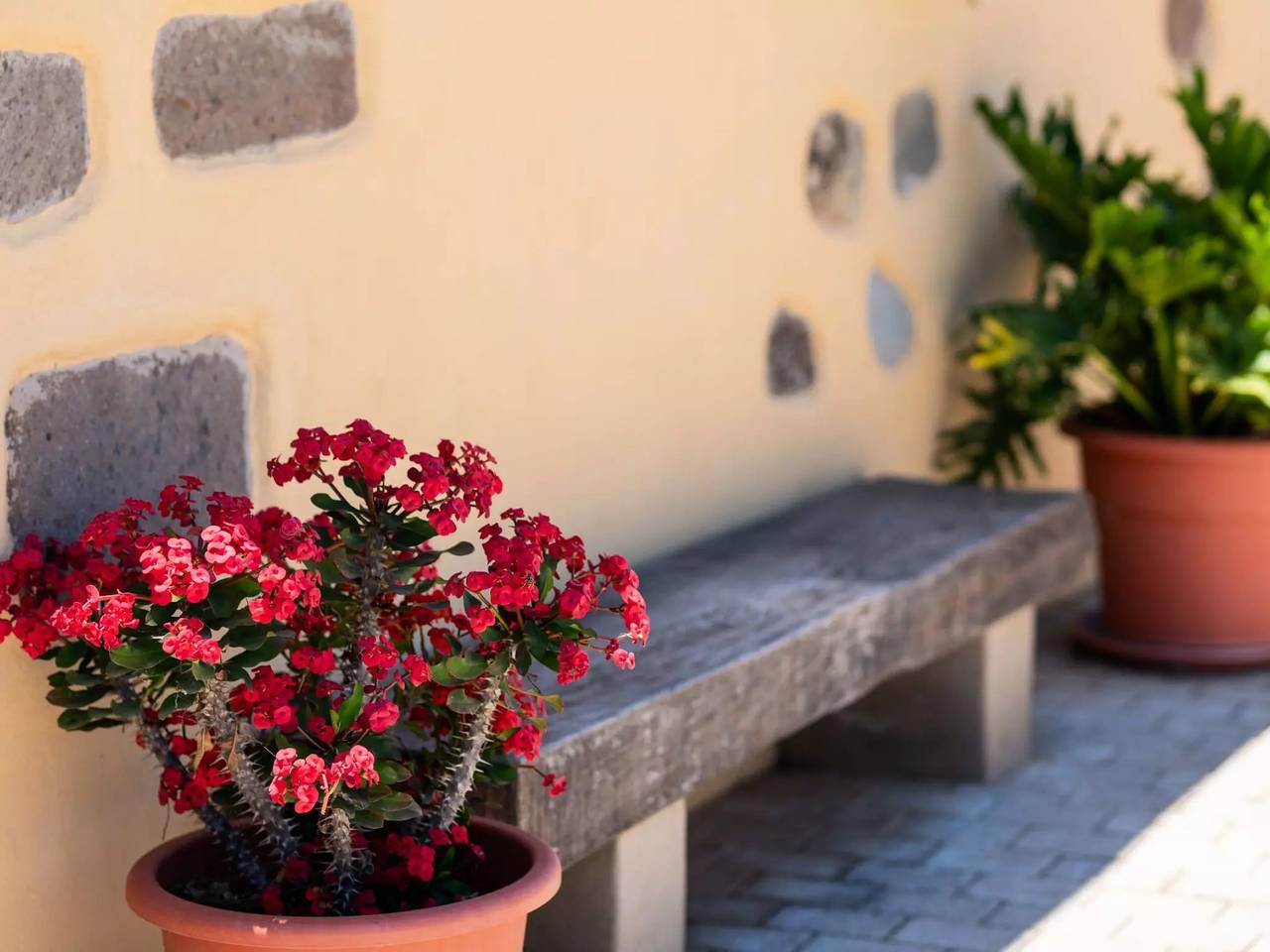 Maison 3 Personnes in Vega de San Mateo, North Gran Canaria