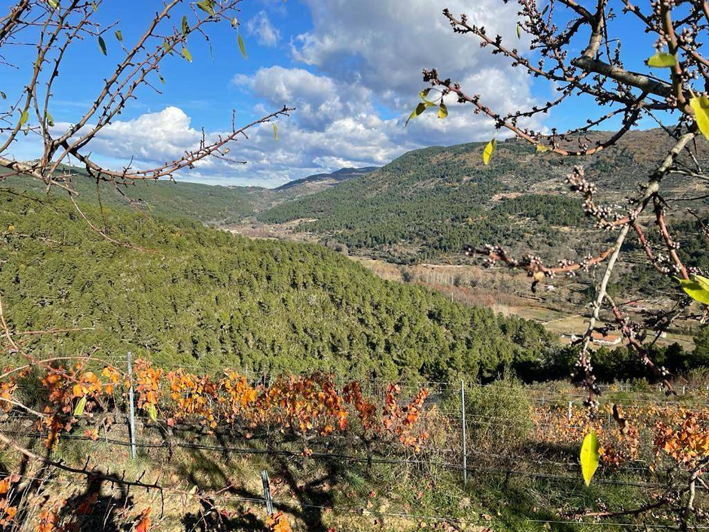 Quinta da Penada - Vineyard & Winery - Suíte 3 in Chaves, District de Vila Real