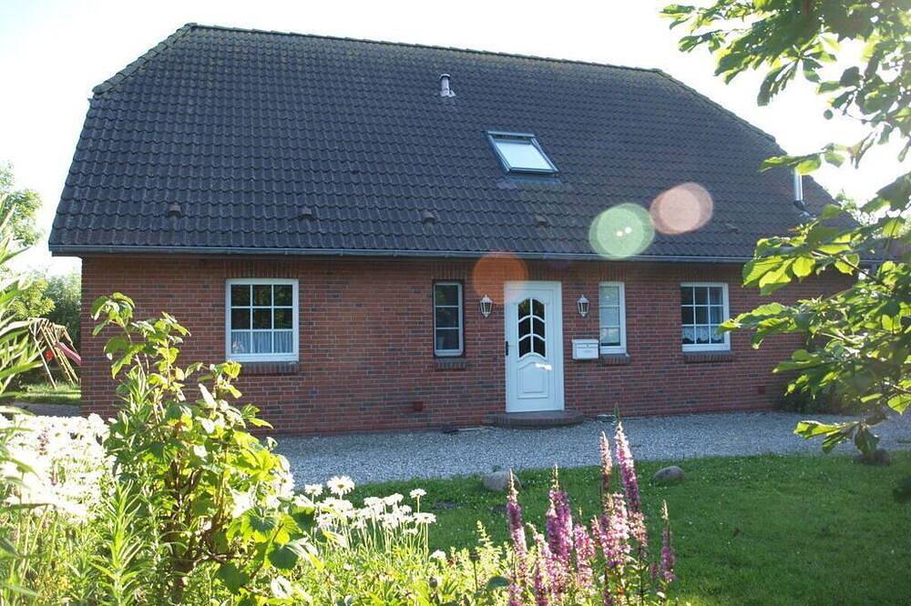 Land und Meer: Land/Eg in Westerhever, Eiderstedt