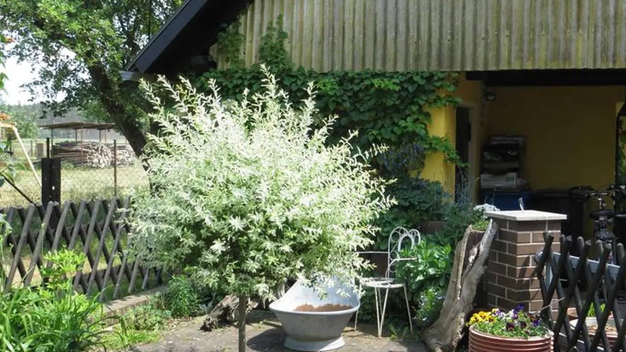 Ganze Ferienwohnung, Ferienwohnung für 5 Personen (60 m²) in Boxberg/Oberlausitz in Bärwalder See, Boxberg (Oberlausitz)