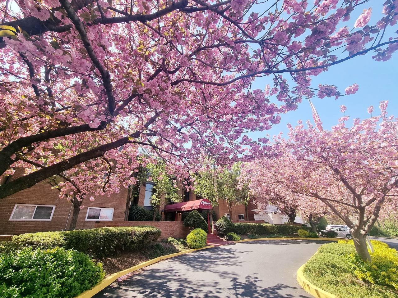 Apartamento entero, Amazing, clean, large, parking, long term avail in Elkins Park, Municipio de Cheltenham (condado de Montgomery, Pensilvania)