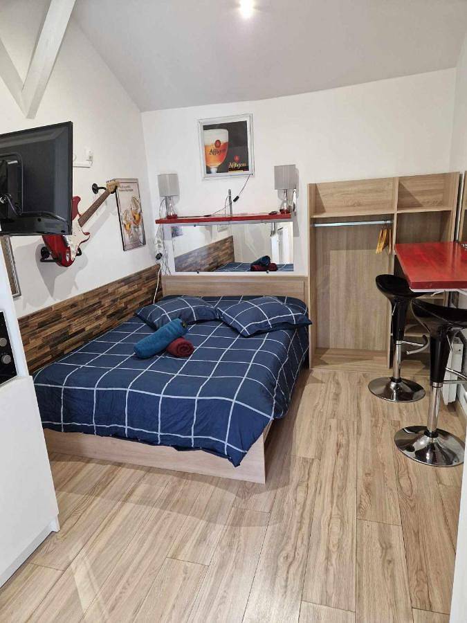 Appartement entier, 07 - Joli studio avec clim tout équipé avec un lit double, vue sur jardin, parking privatif gratuit, grand fourgon possible, tout le linge de maison est fourni in Razac-sur-l'Isle, Périgord Blanc